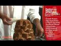 Le ricette - Pandoro con Mousse al Cioccolato