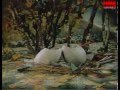 Двоє справедливих курчат