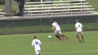 IGA NPL NSW Mens 1 - Round 15 Highlights