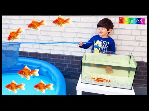 Catching Fish Fun Kids Playing Activity