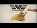 Jonesy the cat's Prometheus commercial