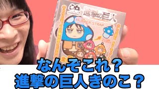 [ラバスト] なのこれ？ｗ何がしたいのさｗ キャラのこ 進撃の巨人