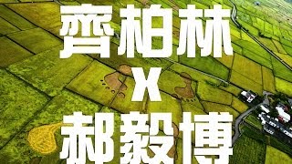 老外對《看見台灣》的10個問題 Part 2│齊柏林 X 郝毅博│老外看台灣