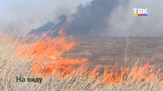 Около сотни ландшафтных пожаров за неделю потушили огнеборцы Искитима