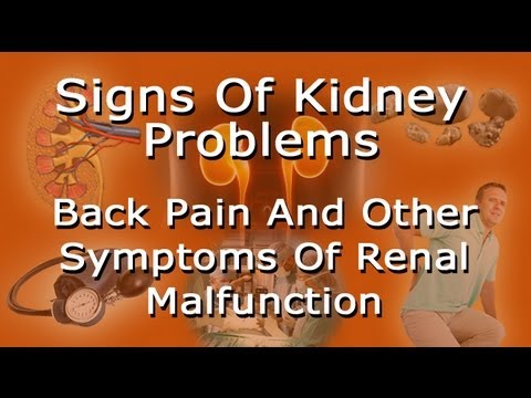 Signs Of Kidney Problems - Lower Back Pain And Other Symptoms Of Renal