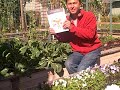 Thumbnail 2 for Best Source Of Heirloom And Open Pollinated Seeds In The Thumbnail 2 for Best Source Of Heirloom And Open Pollinated Seeds In The