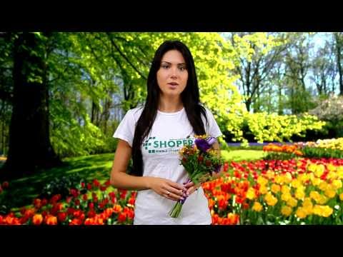 Поздравление с 8 марта