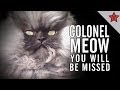 R.I.P. COLONEL MEOW, YOU WILL BE MISSED