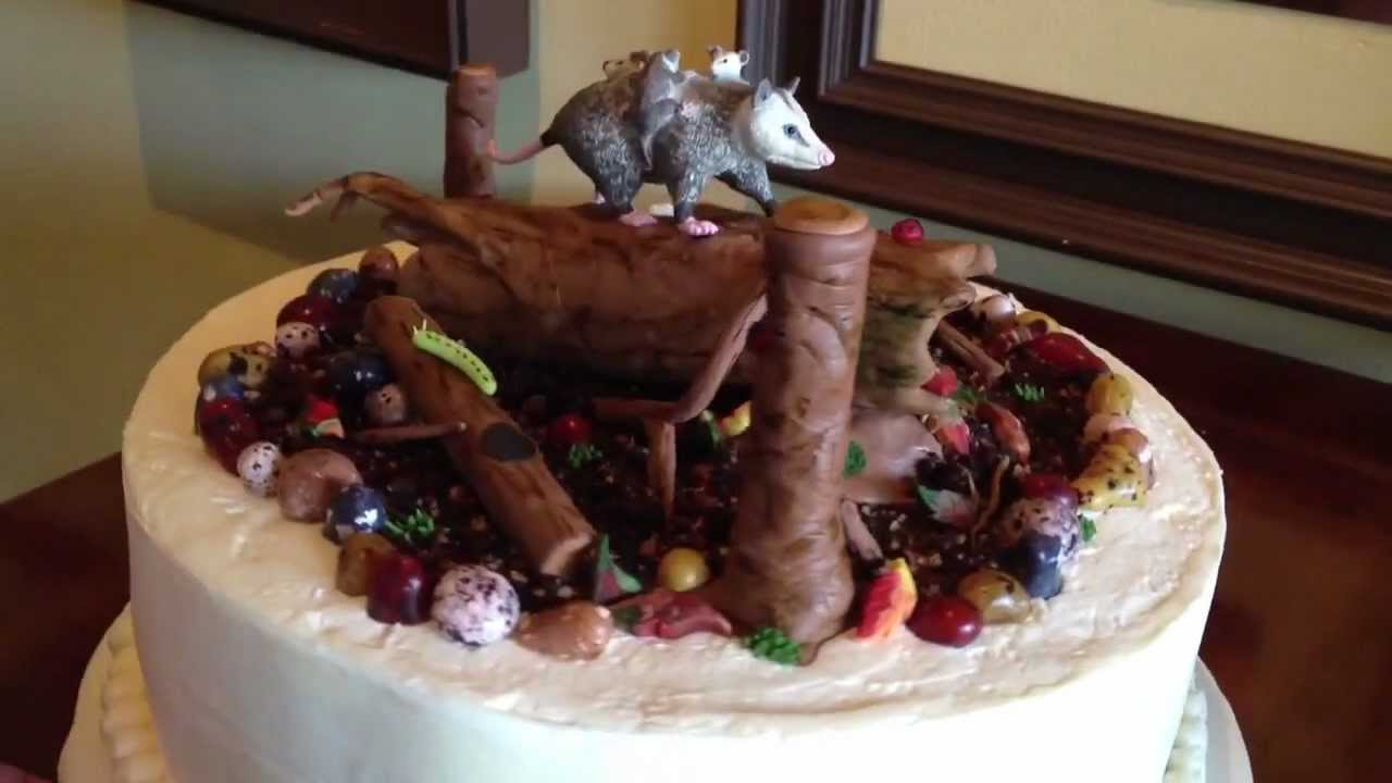 Opossum Cake - Sugar Buzz Bakery & Cafe' - Cary, NC - YouTube