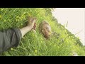 Thomas Rhett - It Goes Like This