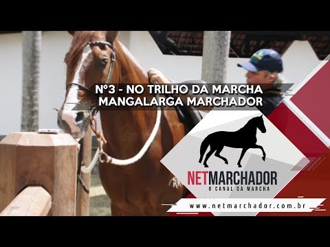 #3 - NO TRILHO DA MARCHA - NET MARCHADOR - O CANAL DA MARCHA 11/09/2017