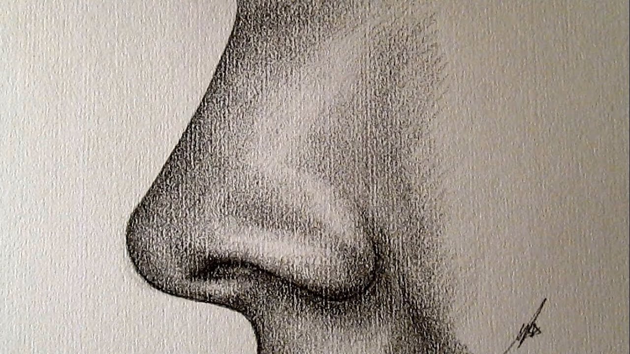 Cómo dibujar una nariz de perfil a lápiz paso a paso TUTORIAL HD - YouTube