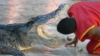 Crocodile Bites Trainer's Head at a Crocodile Farm in Samut Prakan, Thailand