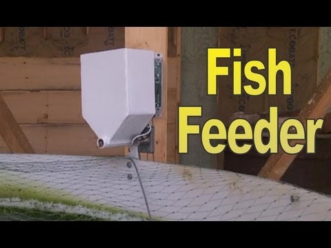 Automatic Fish Feeder - YouTube