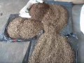 PROJET: Presse à granules / pellets press (Fabrication granules)