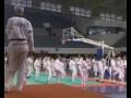 taekwondo algeria