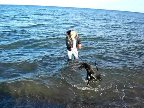 Wenn der Hund nicht ins Wasser will, dann geh ich eben selber. Am 07.11.2010