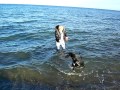 Wenn der Hund nicht ins Wasser will, dann geh ich eben selber. Am 07.11.2010