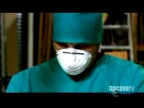 MythBusters The RFID CHIP IMPLANT! 0 Hackers Steal Your Credit Card Information