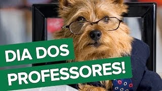 Dia do Professor! Homenagem aos mestres - Mensagens com Amor