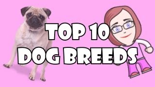 Top 10 Dog Breeds - Maria's Top 10