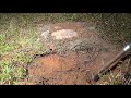 Casting a Fire Ant Colony with Molten Aluminum (Cast #043)