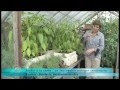 Un incroyable patager centenaire 24 septembre 2013