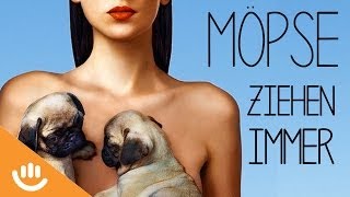 Martin Le und das Mops-Mysterium, neue Rubrik und Golden Globes - Endlich Montag