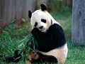 Kenny G - Asian Dream