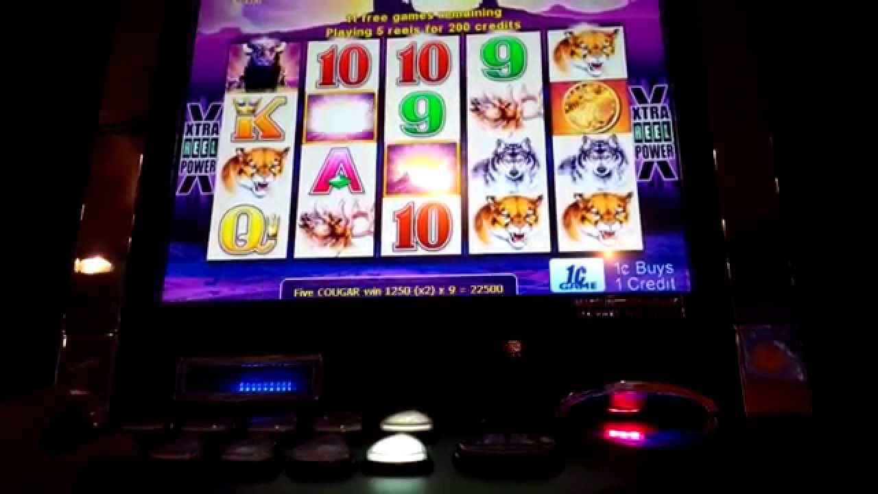 Should you play max bet on slot machines