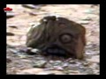 Goblin on Mars, sol 184, Mars stunning anomaly