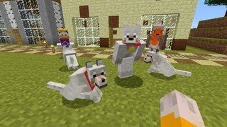 Minecraft Xbox - Pick A Pet  [111]