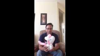 Pony Balloon Twister | video