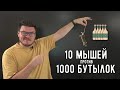  10 мышей против 1000 бутылок  Ботай со мной #136  Борис Трушин