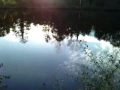 2012 Vidéo sur Etang de Cramoux en Bréal/Montfort