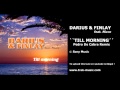 Посмотреть Видео Darius & Finlay - Till Morning