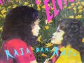 Malam Terakhir - Rhoma Irama & Elvy Sukaesih album artwork
