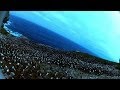 Bird steals egg camera & films penguin colony from the air
