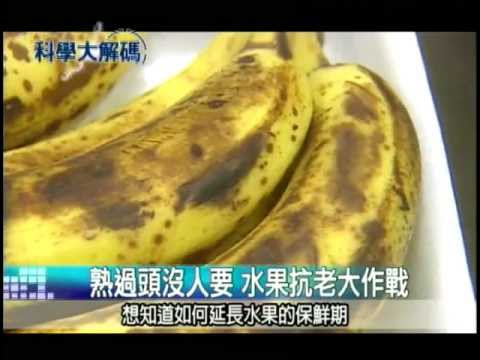 82. 基轉植物的任務 - YouTube pic