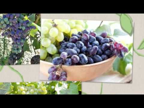 healthy fruit and veggie smoothie recipes fruit of the loom bras healthy fruit and veggie smoothie recipes fruit of the loom bras