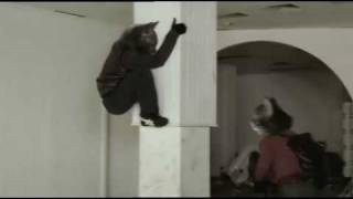 Anthropomorphic Ninja Cats Anthropomorphic Ninja Cats
