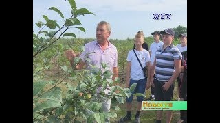 В школе с. Тальменка открывают специализированные классы по выращиванию деревьев