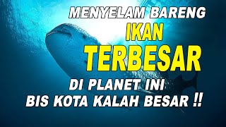 Indonesia Indonesia
