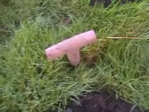 how to kill moles youtube how to kill moles youtube