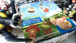 ドキドキ発見！こびとづかんミニケース 全８種類 「イケノミズクサが可愛すぎるの巻！！」