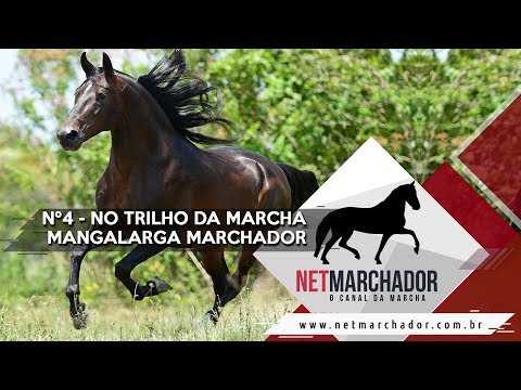 #4 - NO TRILHO DA MARCHA - NET MARCHADOR - O CANAL DA MARCHA 18/09/2017 HD
