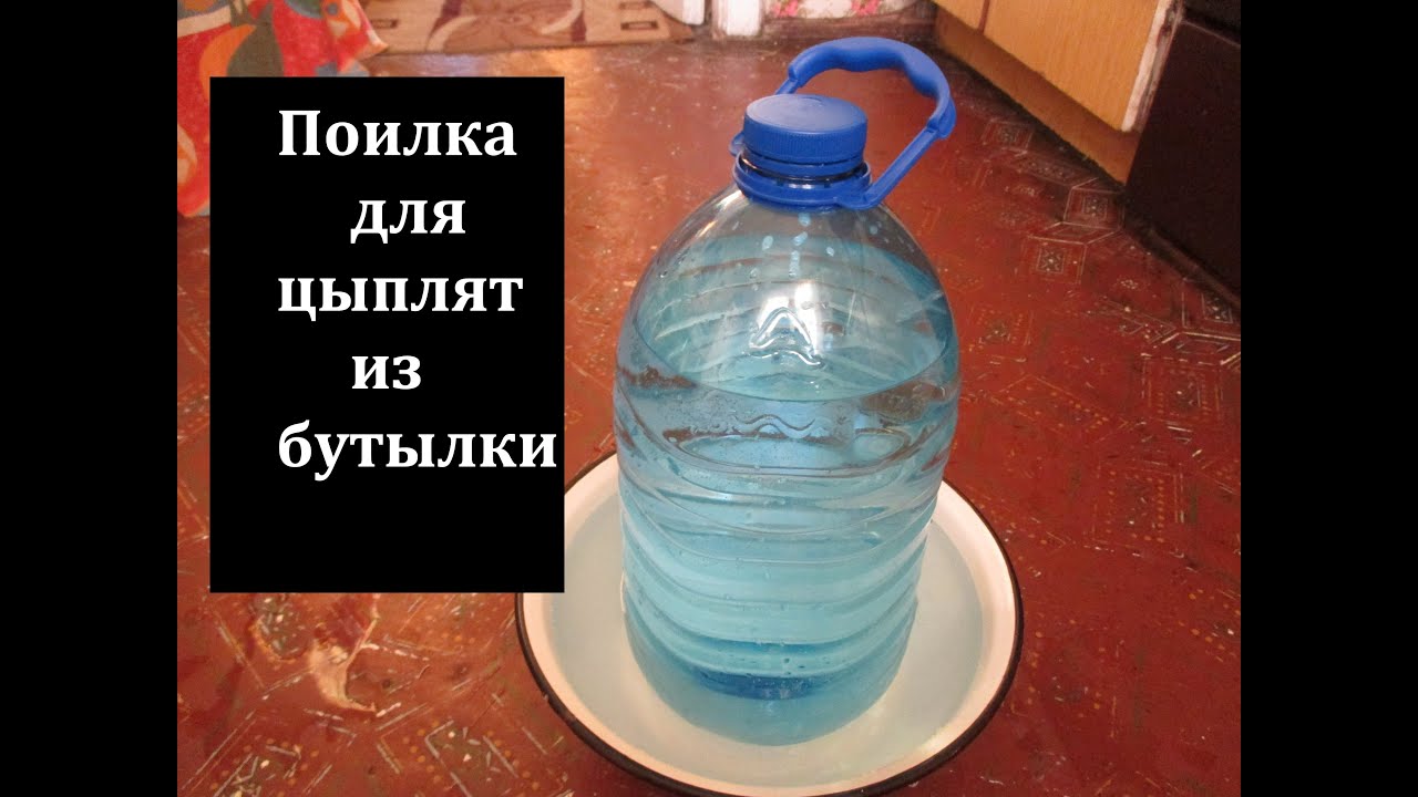 Как сделать поилки для куриц своими руками Как сделать поилки для куриц своими руками