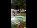 Hanna badar i fontän