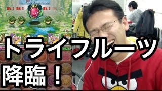 【パズドラ】トライフルーツ降臨！に気合で挑戦！！