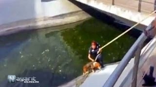 Mujer policía salva a perrito de ahogarse en Tepic